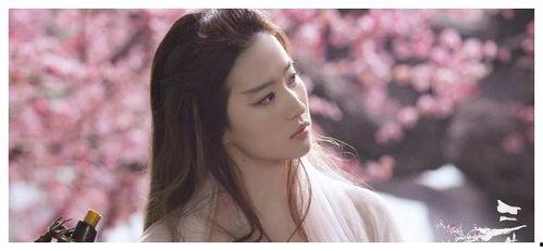 刘亦菲杨洋爆料视频大全,爆料视频大盘点  第3张