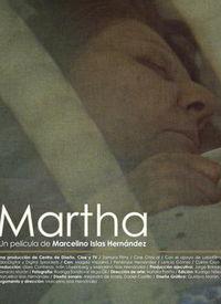 最新玛莎爆料视频播放网站,揭秘幕后真相  第3张